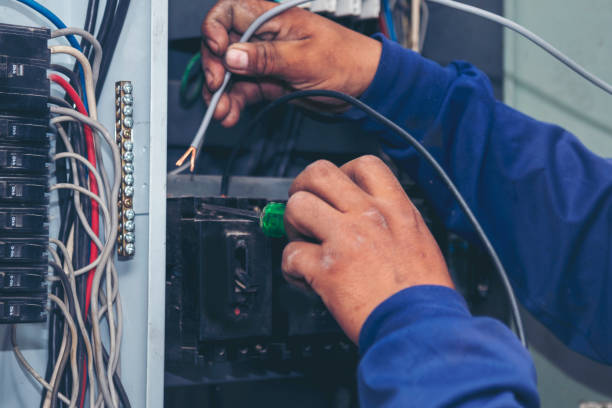 Best Electric Panel Repair  in Ettrick, VA